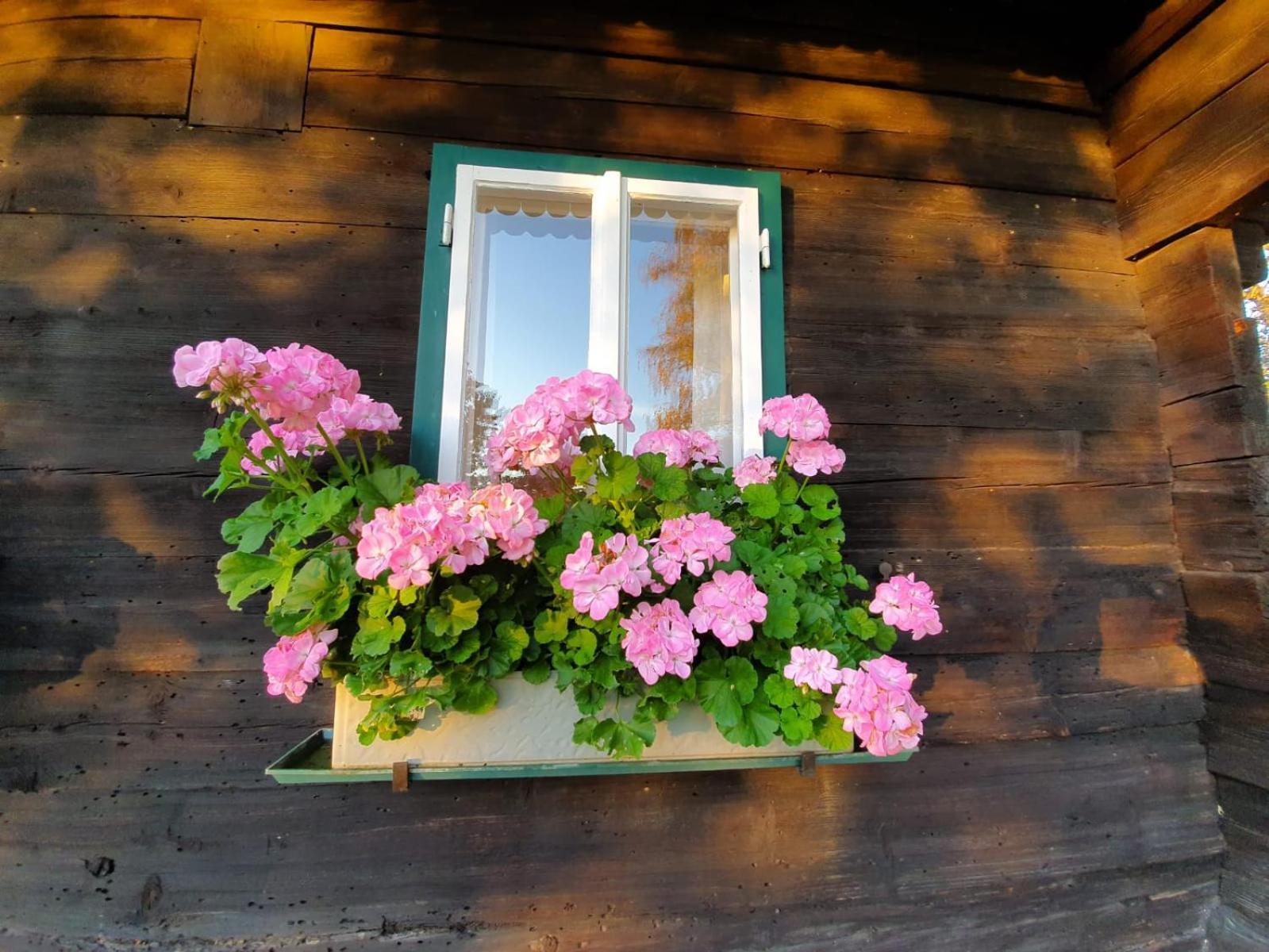 Holiday home Koglegg Wies
